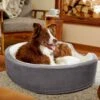 Frisco Bolster Cat & Dog Bed 2 Frisco Bolster Cat & Dog Bed -Frisco 235034 MAIN. AC SS1800 V1602690455