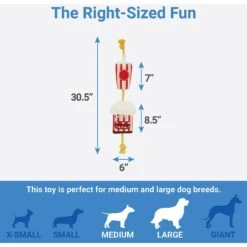 Frisco Zoomies & Chill Theatre Snacks Rope With Plush Squeaky Dog Toy -Frisco 241689 PT1. AC SS1800 V1613170573