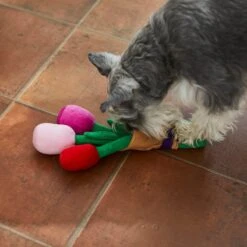 Frisco Valentine Rose Bouquet Plush Squeaky Dog Toy -Frisco 241733 PT6. AC SS1800 V1607990908