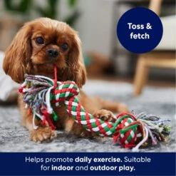 Frisco Double Knot Tri-Color Rope Fetch Dog Toy 8 Frisco Double Knot Tri-Color Rope Fetch Dog Toy -Frisco 242149 PT3. AC SS1800 V1695241915