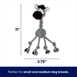 New Release -Frisco 242163 PT1. AC SS1800 V1695084258