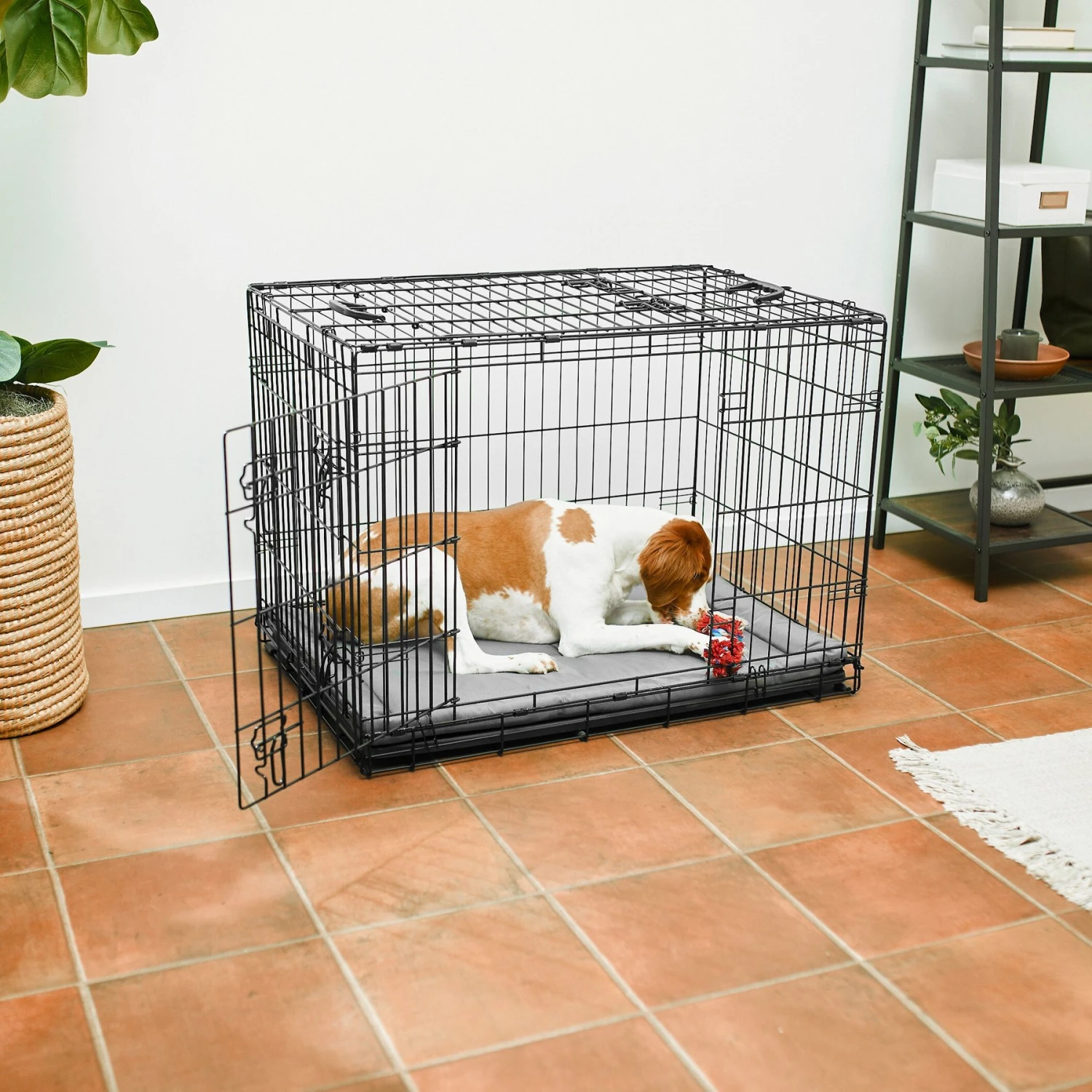 Frisco Heavy Duty All-in-1 Multi-Stage 3 Door Collapsible Wire Dog Crate 3 Frisco Heavy Duty All-in-1 Multi-Stage 3 Door Collapsible Wire Dog Crate
