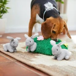 Frisco Spring Bunny Burrow Hide & Seek Plush Squeaky Dog Toy 12 Frisco Spring Bunny Burrow Hide & Seek Plush Squeaky Dog Toy -Frisco 248039 PT5. AC SS1800 V1608767863