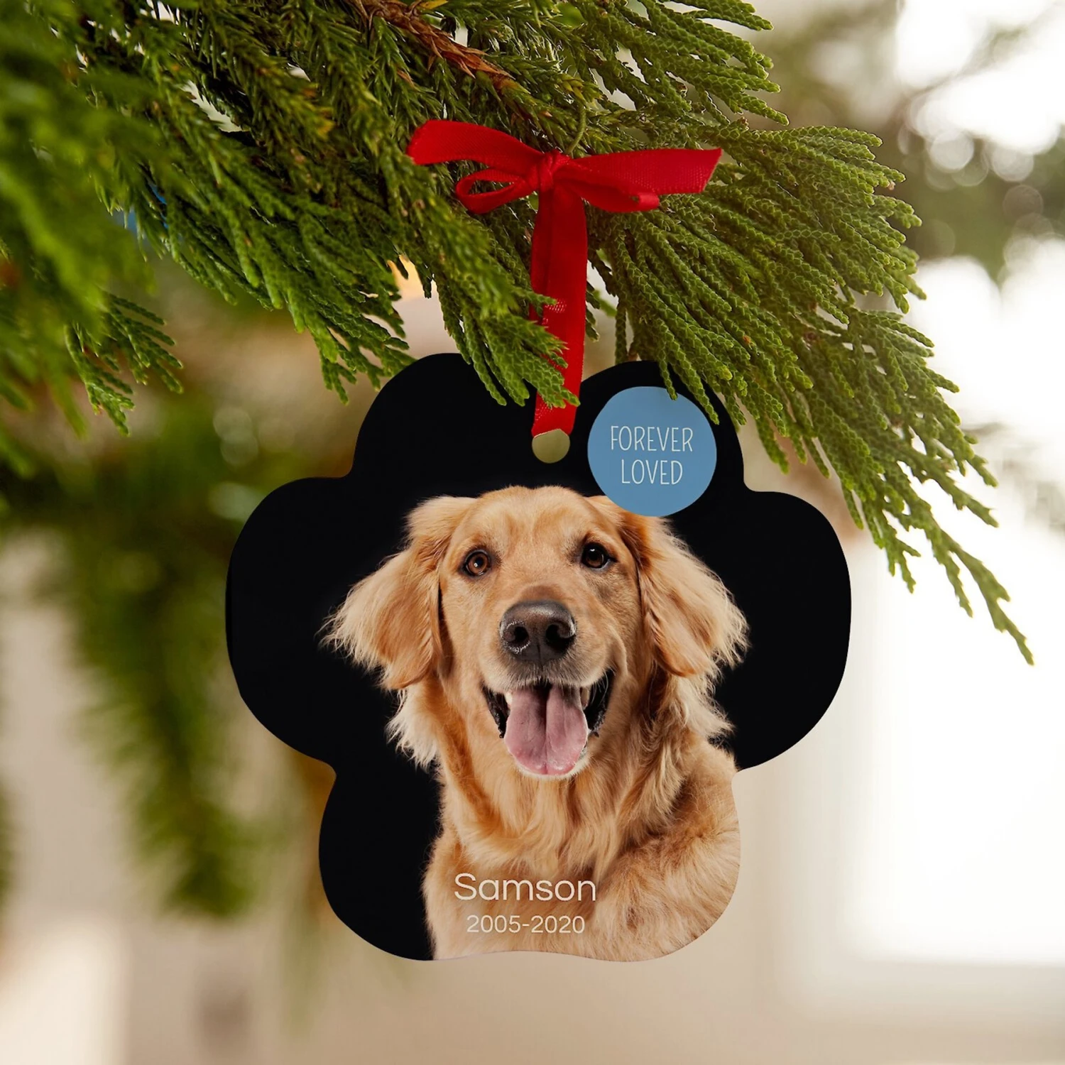 Frisco "Forever Loved" Paw Shape Metal Personalized Dog & Cat Holiday Ornament 5 Frisco "Forever Loved" Paw Shape Metal Personalized Dog & Cat Holiday Ornament - Image 3