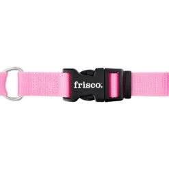 Frisco Solid Nylon Personalized Martingale Dog Collar 14 Frisco Solid Nylon Personalized Martingale Dog Collar -Frisco 249561 PT5. AC SS1800 V1628877460