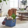 Frisco Rectangle Collapsible Pet Toy Storage Bin, Navy Herringbone -Frisco 250574 MAIN. AC SS1800 V1615242905