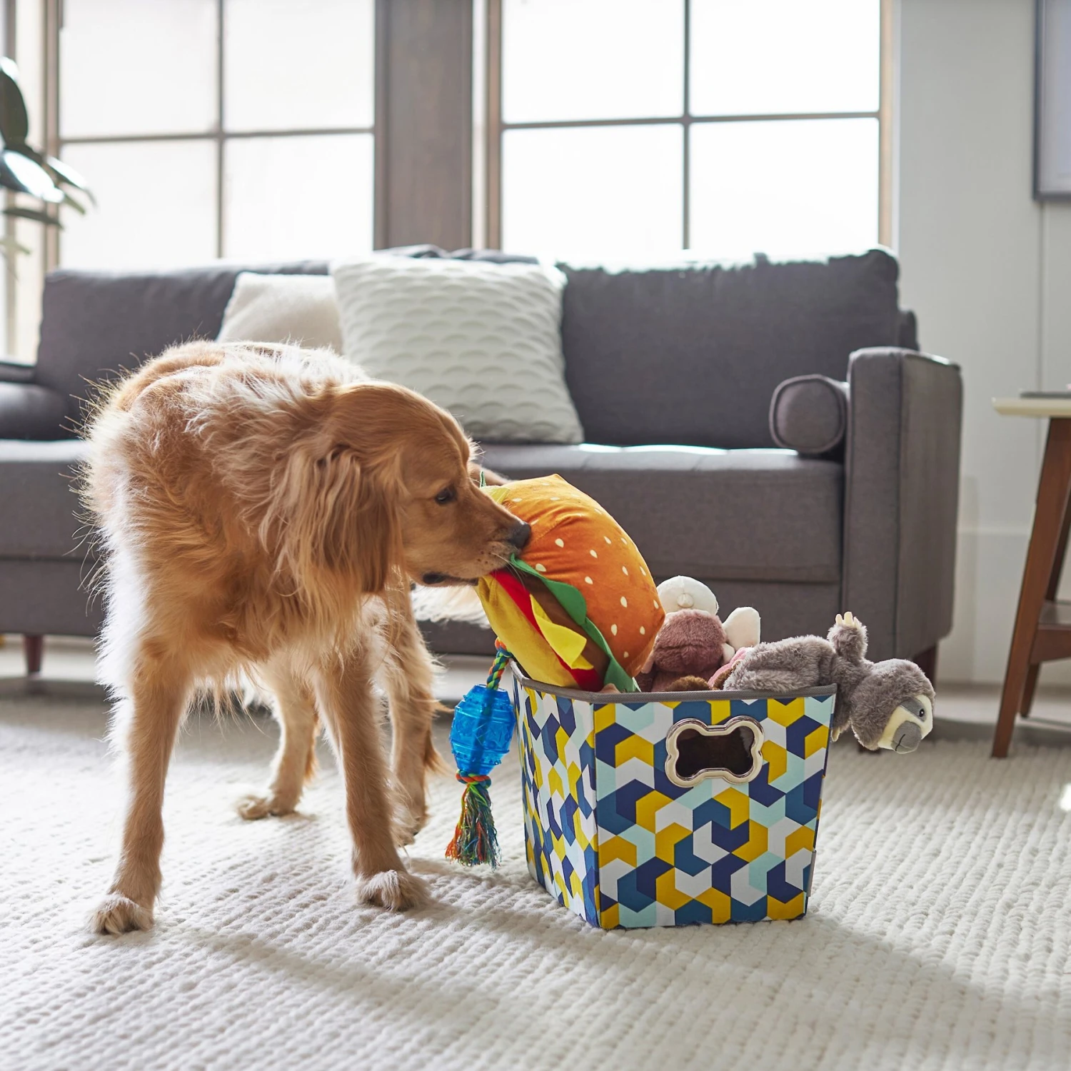 Frisco Rectangle Collapsible Pet Toy Storage Bin, Yellow Geometric 3 Frisco Rectangle Collapsible Pet Toy Storage Bin, Yellow Geometric