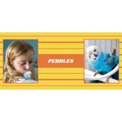 Frisco Double Walled Preppy Stripes Personalized Tumbler, 30-oz Cup 9 Frisco Double Walled Preppy Stripes Personalized Tumbler, 30-oz Cup -Frisco 250751 PT2. AC SS1800 V1606678620