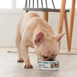 Frisco Boho Damask Ceramic Personalized Dog & Cat Bowl -Frisco 250833 PT3. AC SS1800 V1610758070