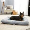 Frisco Orthopedic Personalized Bolster Dog Bed W/Removable Cover, Harbour Blue, Large -Frisco 252617 MAIN. AC SS1800 V1604499108