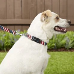 Frisco American Flag Polyester Dog Leash & Frisco American Flag Polyester Dog Collar -Frisco 255455 PT2. AC SS1800 V1602706575