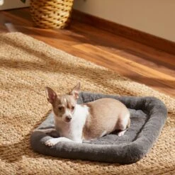 Frisco Fold & Carry Single Door Collapsible Wire Dog Crate & Frisco Quilted Plush Dog Crate Mat -Frisco 255501 PT4. AC SS1800 V1604097719
