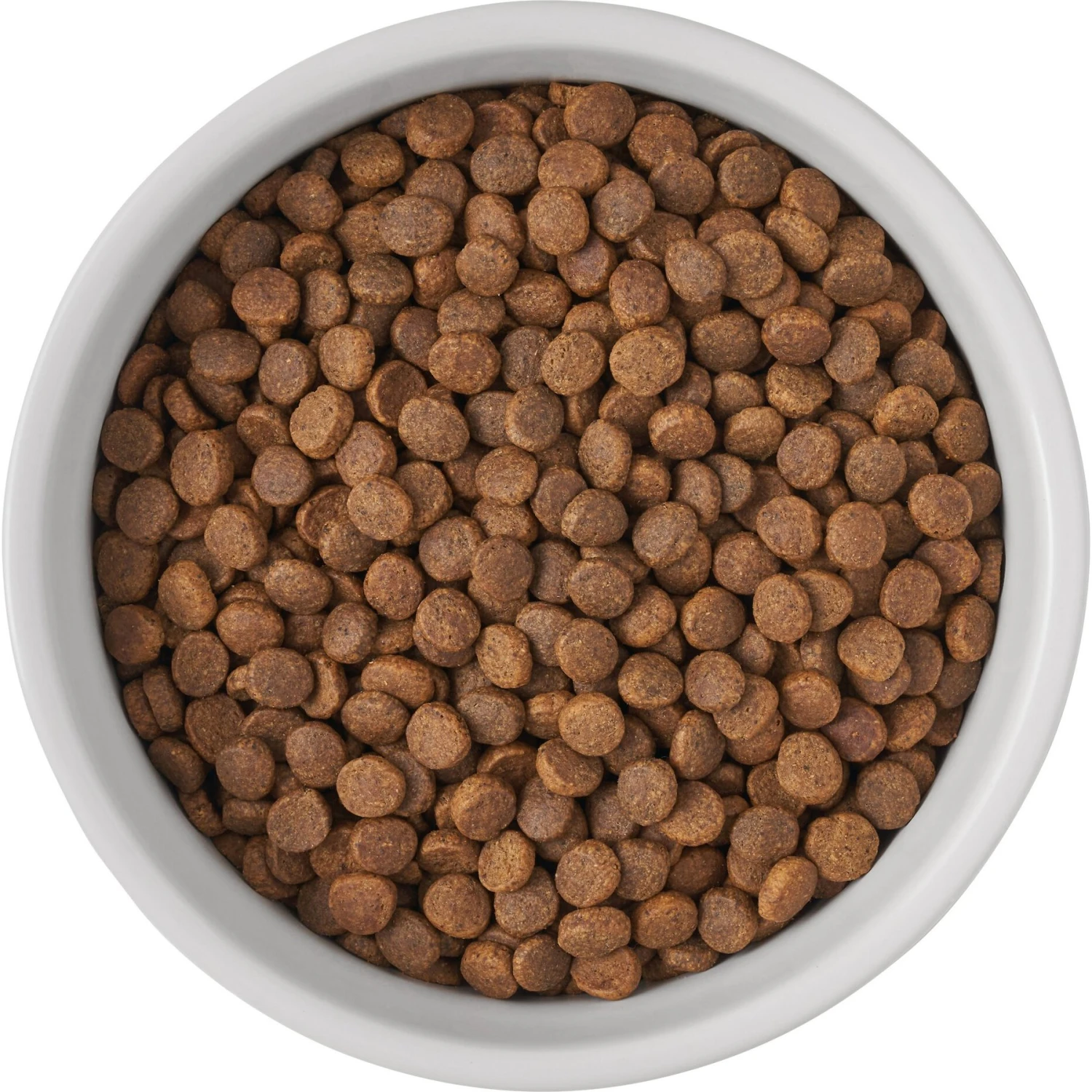 Frisco Bones Non-skid Ceramic Dog & Cat Bowl 8 Frisco Bones Non-skid Ceramic Dog & Cat Bowl - Image 6