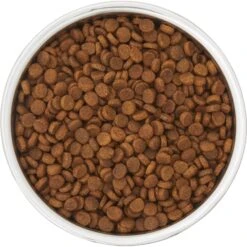 Frisco Insulated Two-Toned Non-Skid Stainless Steel Dog & Cat Bowl -Frisco 257168 PT4. AC SS1800 V1612367255