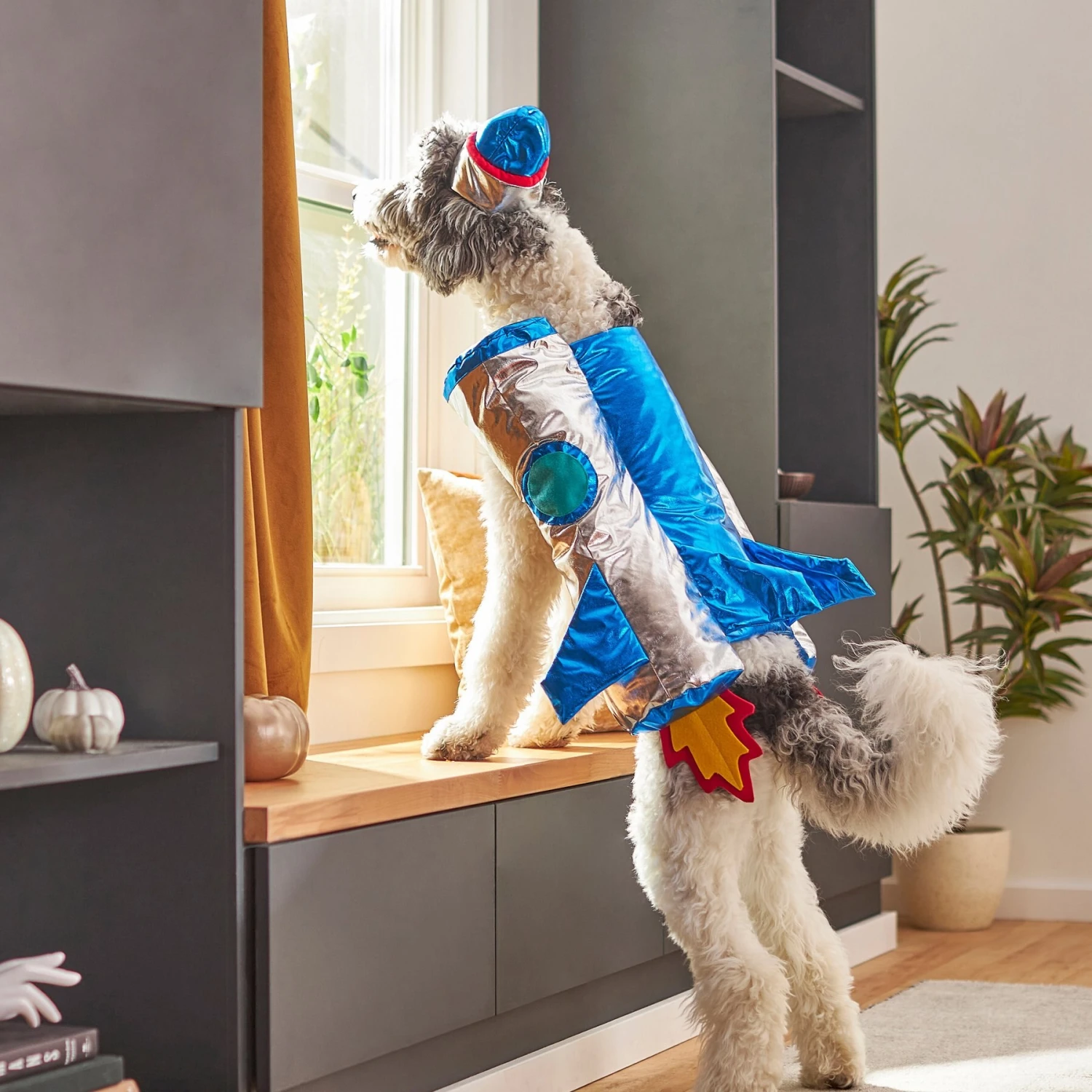 Frisco Rocket Ship Dog & Cat Costume 10 Frisco Rocket Ship Dog & Cat Costume - Image 8