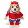 Frisco Front Walking Superhero Dog & Cat Costume 1 Frisco Front Walking Superhero Dog & Cat Costume -Frisco 261083 MAIN. AC SS1800 V1624398205
