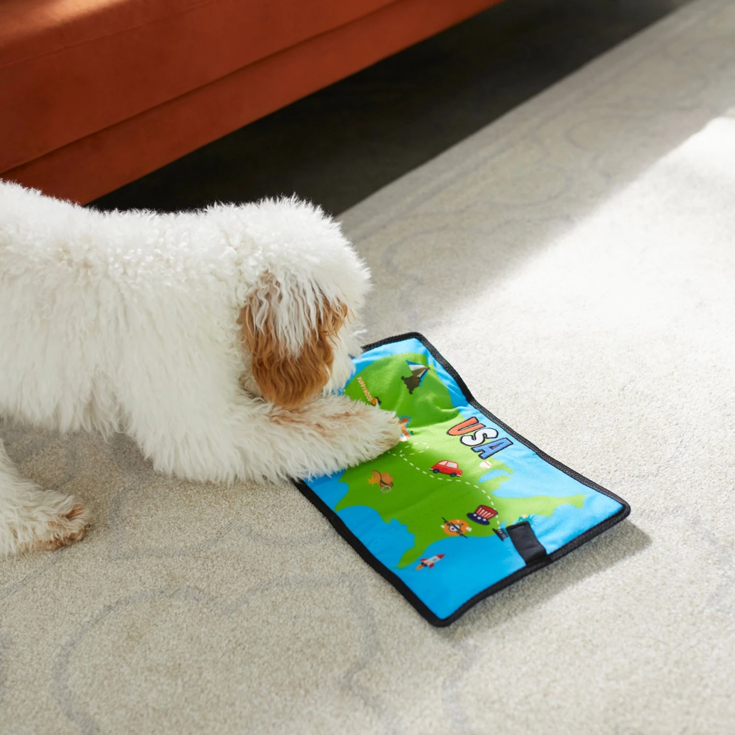 Frisco Road Trip Foldable Map Flat Plush Squeaky Dog Toy 7 Frisco Road Trip Foldable Map Flat Plush Squeaky Dog Toy - Image 5