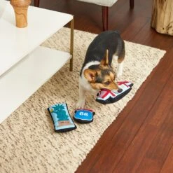 Frisco Road Trip Sightseeing Plush Squeaky Dog Toy, 3 Count -Frisco 262001 PT3. AC SS1800 V1618598716