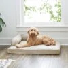 Frisco Faux Linen Corner Personalized Bolster Dog Bed W/Removable Cover 1 Frisco Faux Linen Corner Personalized Bolster Dog Bed W/Removable Cover -Frisco 262158 MAIN. AC SS1800 V1615828368