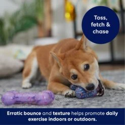 Frisco Birthday TPR Fetch Bone Squeaky Dog Toy 12 Frisco Birthday TPR Fetch Bone Squeaky Dog Toy -Frisco 264422 PT4. AC SS1800 V1695760988