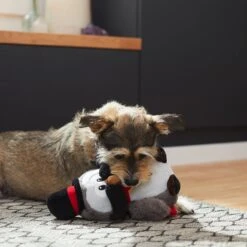 Frisco Magic Owl Plush Squeaky Dog Toy 7 Frisco Magic Owl Plush Squeaky Dog Toy -Frisco 265596 PT3. AC SS1800 V1623352167