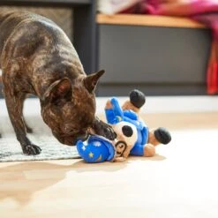 Frisco Magic Wizard Bear Plush Squeaky Dog Toy 7 Frisco Magic Wizard Bear Plush Squeaky Dog Toy -Frisco 265604 PT3. AC SS1800 V1623352109