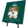 Frisco Personalized "Forever Home" Memorial Ceramic Photo Tile With Stand, 8" X 10" 2 Frisco Personalized "Forever Home" Memorial Ceramic Photo Tile With Stand, 8" X 10" -Frisco 268719 MAIN. AC SS1800 V1619197913