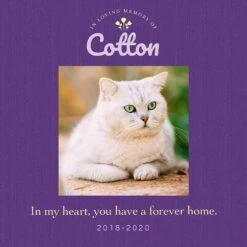 Frisco Personalized "Forever Home" Memorial Ceramic Photo Tile With Stand, 8" X 10" 7 Frisco Personalized "Forever Home" Memorial Ceramic Photo Tile With Stand, 8" X 10" -Frisco 268719 PT2. AC SS1800 V1619198214
