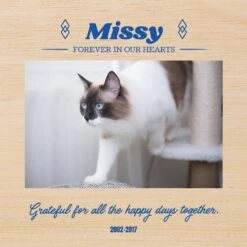 Frisco Personalized "Happy Days" Memorial Ceramic Photo Tile With Stand, 8" X 10" -Frisco 268720 PT2. AC SS1800 V1620400026