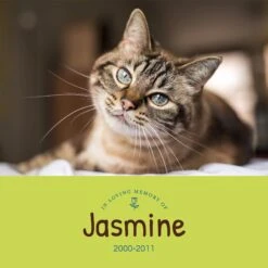 Frisco Personalized "Love" Memorial Ceramic Photo Tile With Stand, 8" X 10" -Frisco 268722 PT2. AC SS1800 V1619198218