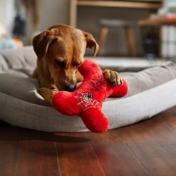 Frisco Halloween Wicked Cute Bone Reversible Plush Squeaky Dog Toy 11 Frisco Halloween Wicked Cute Bone Reversible Plush Squeaky Dog Toy -Frisco 270357 PT3. AC SS1800 V1624817551