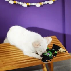 Frisco Halloween Good Witch, Bad Witch Reversible Plush Squeaky Dog Toy -Frisco 270429 PT3. AC SS1800 V1624817643