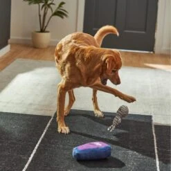 Frisco Halloween Mummy & Coffin Plush Squeaky Dog Toy 9 Frisco Halloween Mummy & Coffin Plush Squeaky Dog Toy -Frisco 270437 PT3. AC SS1800 V1624817278