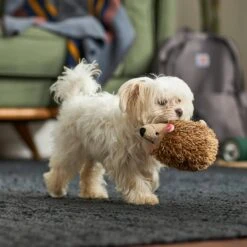 Frisco Camping Hedgehog Plush Squeaky Dog Toy 7 Frisco Camping Hedgehog Plush Squeaky Dog Toy -Frisco 270995 PT3. AC SS1800 V1625009251