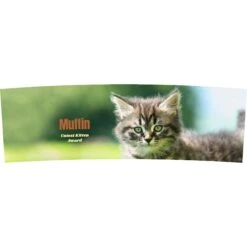 Frisco Basic Double Walled Personalized Tumbler, 30-oz -Frisco 271223 PT2. AC SS1800 V1620401536