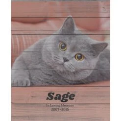 Frisco Personalized "Classic Photo" Rustic Wood Wall Decor, 16" X 20" -Frisco 271233 PT2. AC SS1800 V1621028279