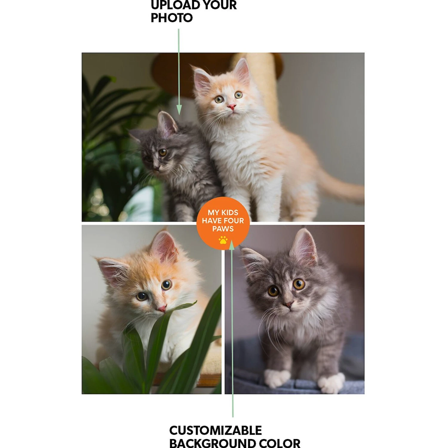 Frisco "Contemporary #1" 8 X 10 Gallery-Wrapped Canvas 4 Frisco "Contemporary #1" 8 X 10 Gallery-Wrapped Canvas - Image 2