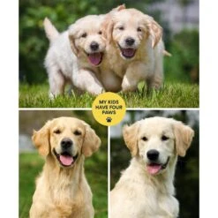 Frisco "Contemporary #1" 8 X 10 Gallery-Wrapped Canvas 8 Frisco "Contemporary #1" 8 X 10 Gallery-Wrapped Canvas -Frisco 272569 PT2. AC SS1800 V1625685737