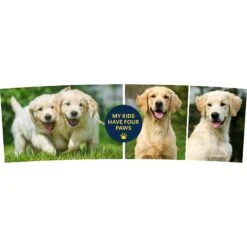 Frisco "Contemporary #1" Double Walled Tumbler. 30-oz -Frisco 272573 PT2. AC SS1800 V1628110934