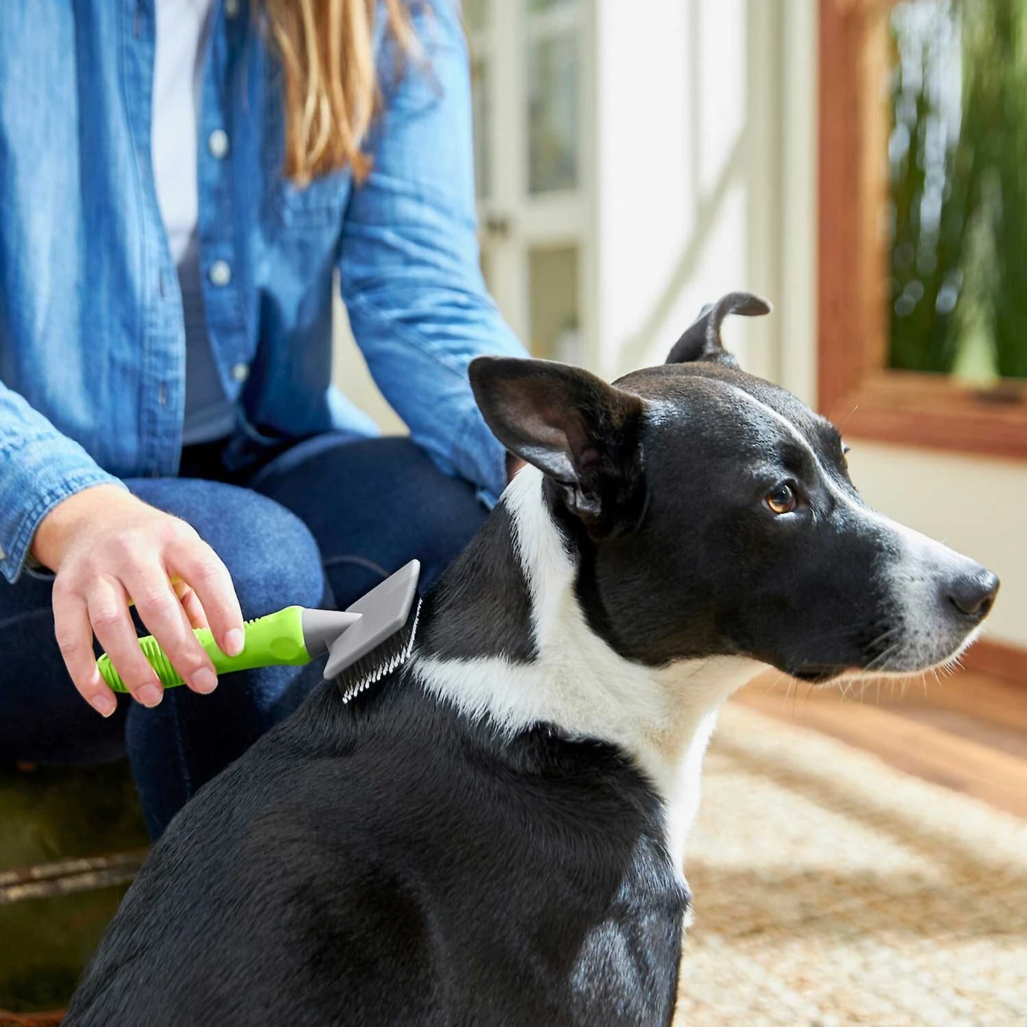 Frisco Soft Slicker Dog Brush, One Size & Frisco Deshedding Dog & Cat Brush 6 Frisco Soft Slicker Dog Brush, One Size & Frisco Deshedding Dog & Cat Brush - Image 4