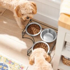 Frisco Multi Pet Feeding Corner 3-Bowls Stainless Steel Dog & Cat Bowl -Frisco 277561 PT2. AC SS1800 V1630346973