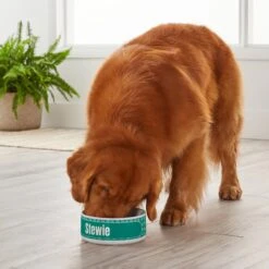 Frisco General Pet Ceramic Personalized Dog & Cat Bowl 9 Frisco General Pet Ceramic Personalized Dog & Cat Bowl -Frisco 278922 PT3. AC SS1800 V1629147409
