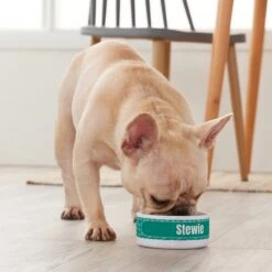 Frisco Personalized General Dog & Cat Small Dog Bowl -Frisco 278924 PT3. AC SS1800 V1629147374