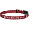 Frisco Buffalo Check Polyester Personalized Dog Collar 1 Frisco Buffalo Check Polyester Personalized Dog Collar -Frisco 280763 MAIN. AC SS1800 V1621274857