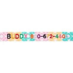 Frisco Pastel Tie Dye Polyester Personalized Dog Collar -Frisco 280770 PT2. AC SS1800 V1621540643