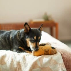 Frisco Fall Boot Plush Squeaky Dog Toy 7 Frisco Fall Boot Plush Squeaky Dog Toy -Frisco 285619 PT3. AC SS1800 V1629724969