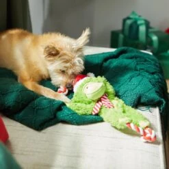 Frisco Holiday Monkey Plush With Rope Squeaky Dog Toy 11 Frisco Holiday Monkey Plush With Rope Squeaky Dog Toy -Frisco 287115 PT3. AC SS1800 V1632774182