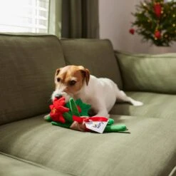 Frisco Flower Bouquet Plush Squeaky Dog Toy 9 Frisco Flower Bouquet Plush Squeaky Dog Toy -Frisco 287163 PT3. AC SS1800 V1632776821