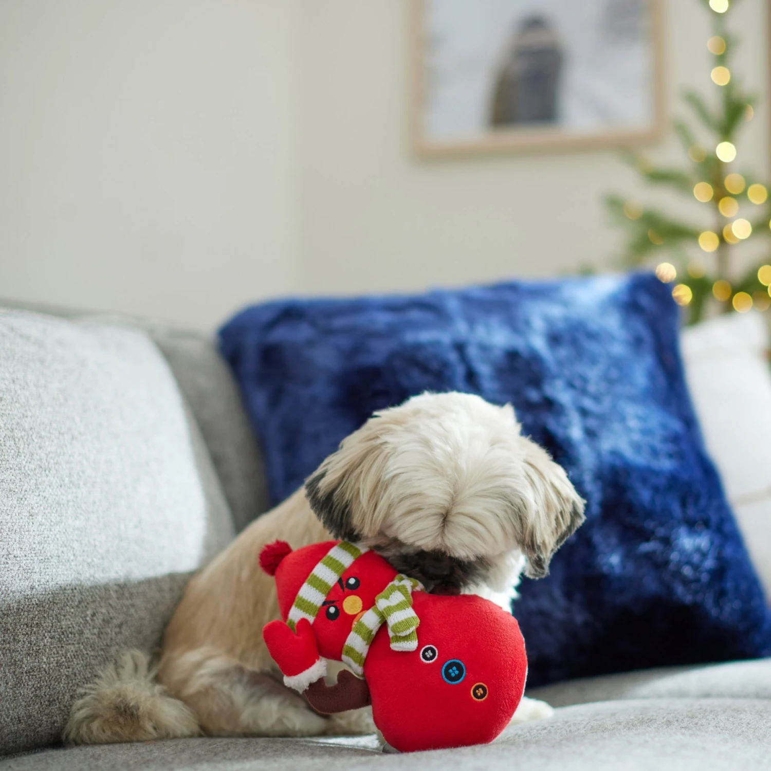 Frisco Holiday Naughty Or Nice Snowman Reversible Plush Squeaky Dog Toy 6 Frisco Holiday Naughty Or Nice Snowman Reversible Plush Squeaky Dog Toy - Image 4