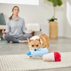 Frisco Protein & Water Bottle Cruncher Dog Toy -Frisco 288927 PT3. AC SS1800 V1638291847